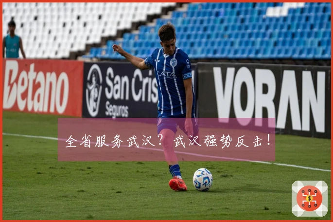 全省服务武汉？武汉强势反击！